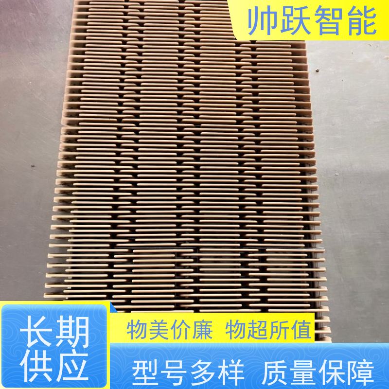 帅跃智能 饮料包装生产流水线 食品级塑料链板 摩擦系数小
