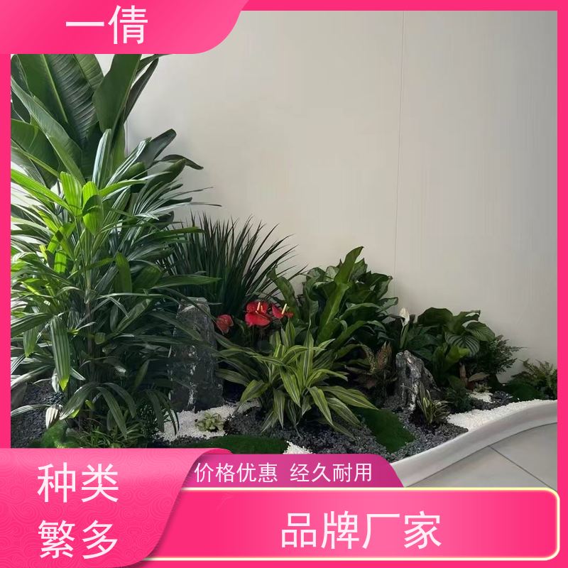 一倩花卉 办公室 鸟巢厥 绿植租赁 全城配送 上门养护