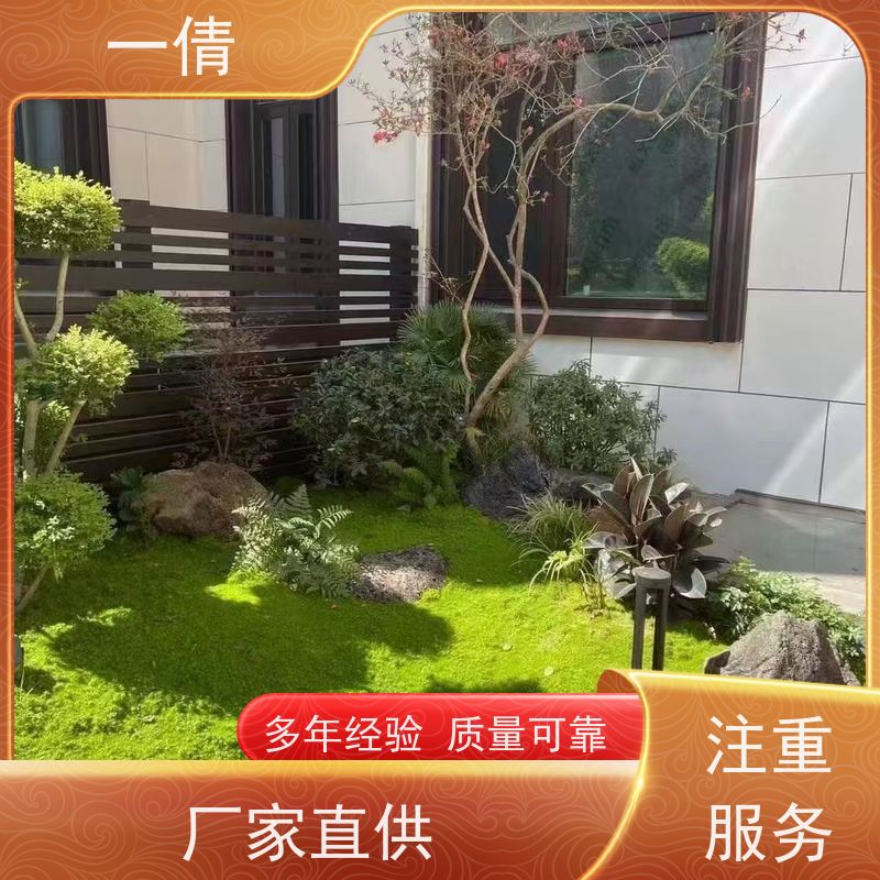 一倩花卉 深圳 君子兰 绿植租赁 种类繁多 规格齐全