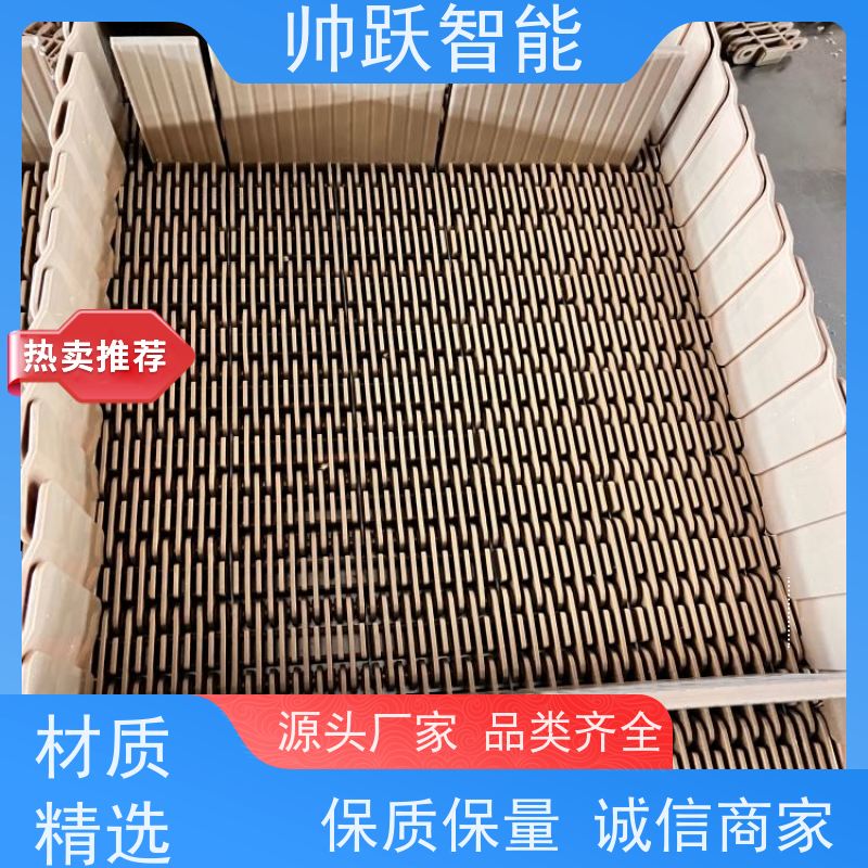 帅跃智能 烘干线塑料网链 提盖机链板 适用于工业行业