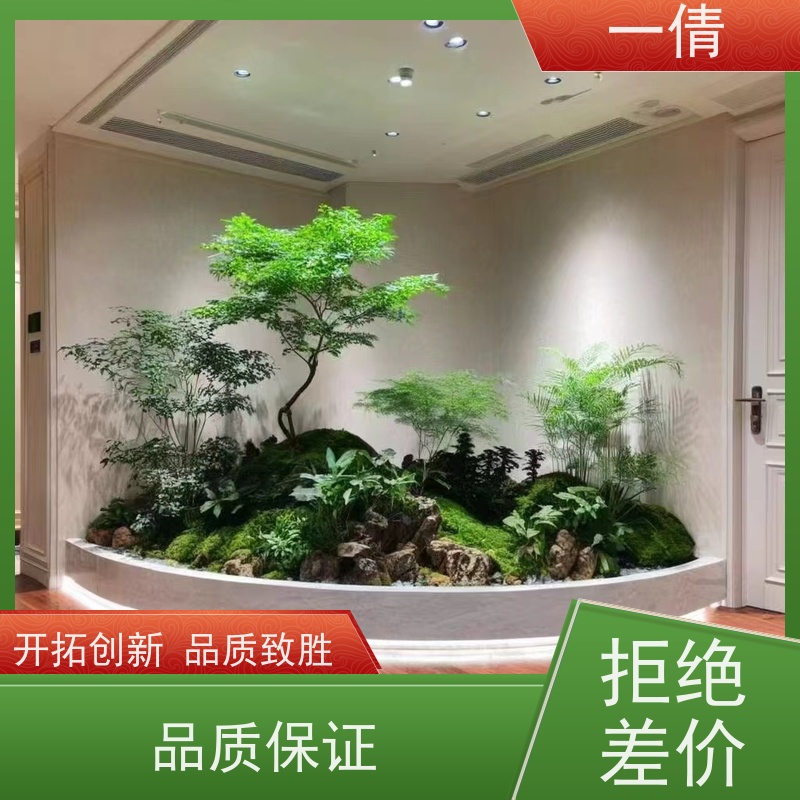 一倩花卉 深圳 太阳神 室内植物出租 全城配送 上门养护