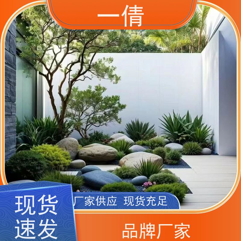 一倩花卉 前台 桌面盆景 开业花篮租赁 种类繁多 规格齐全