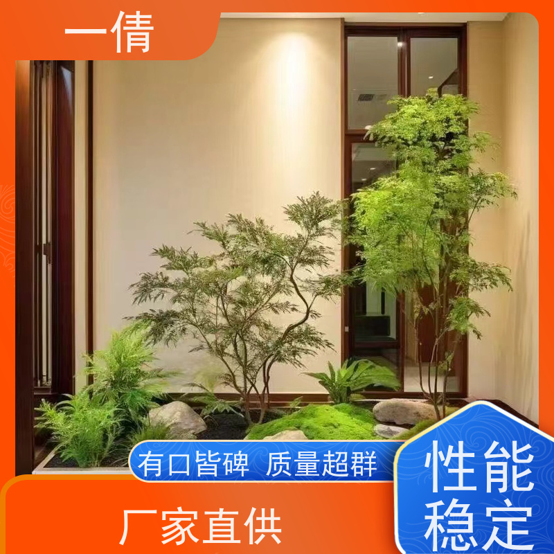 一倩花卉 室内 七彩铁 开业花篮租赁 桌面绿植 花木护理