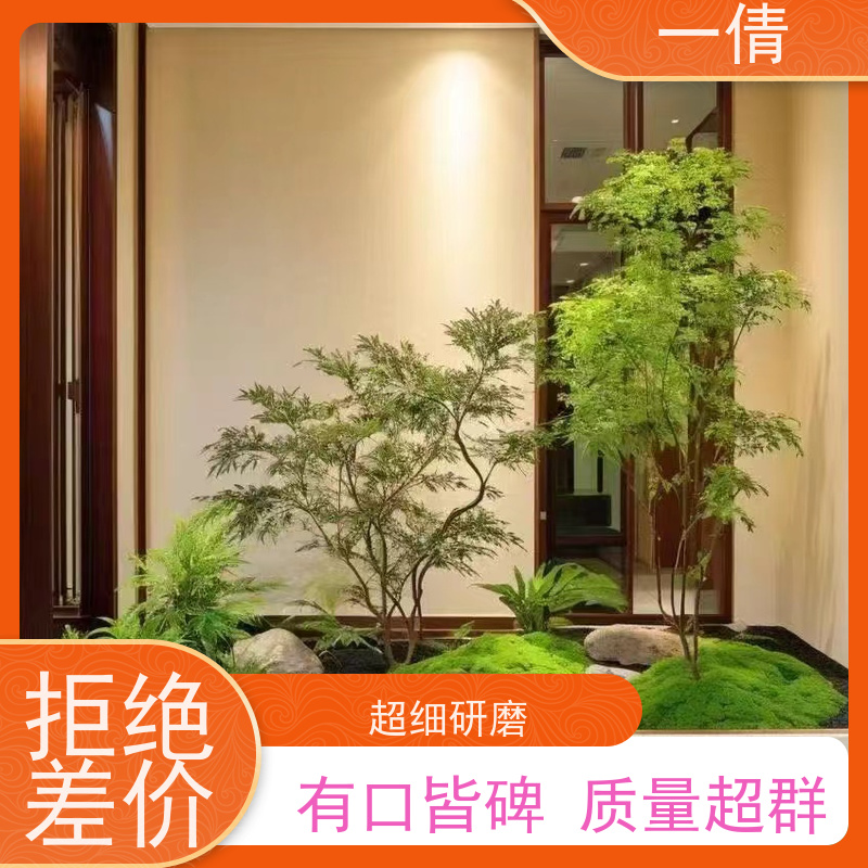 一倩花卉 办公室 黄杨 开业花篮租赁 桌面绿植 花木护理