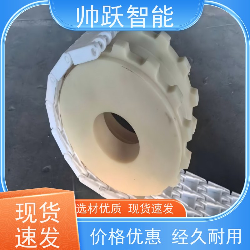 帅跃智能 洗碗机输送带 食品级塑料链板 品质可靠 按图定制