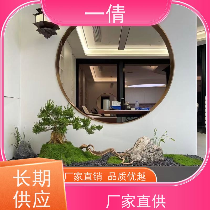 一倩花卉 深圳 中杨贵妃 绿植出售 种类繁多 规格齐全