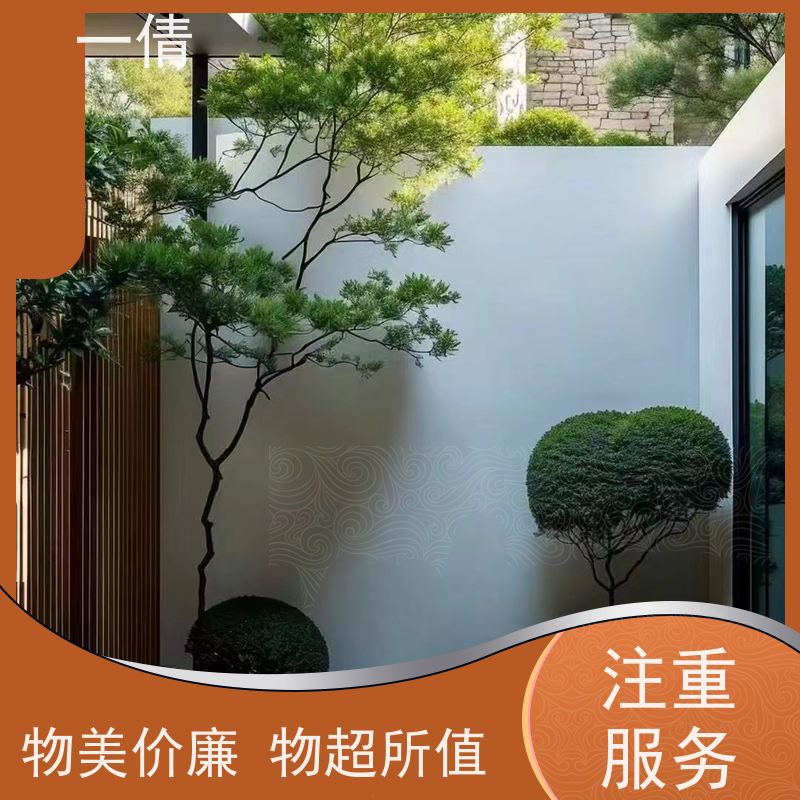 一倩花卉 办公室 银斑葛 室内植物出租 净化空气