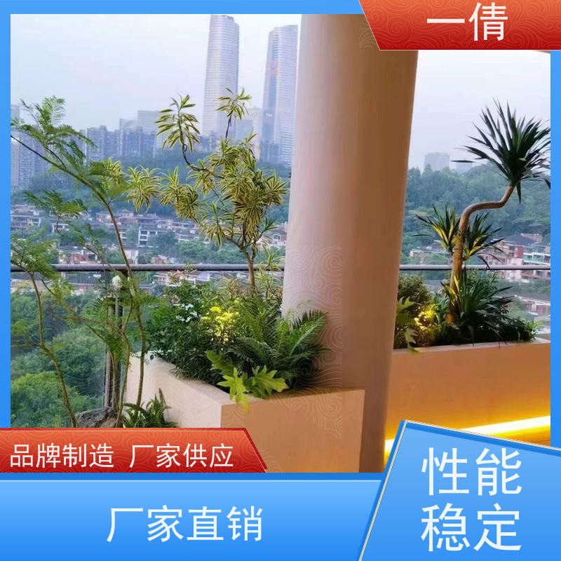 一倩花卉 前台 天堂鸟 绿植租赁 种类繁多 规格齐全