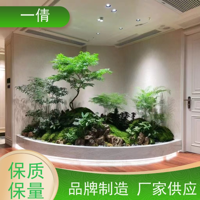 一倩花卉 办公室 银斑葛 绿植租赁 全城配送 上门养护