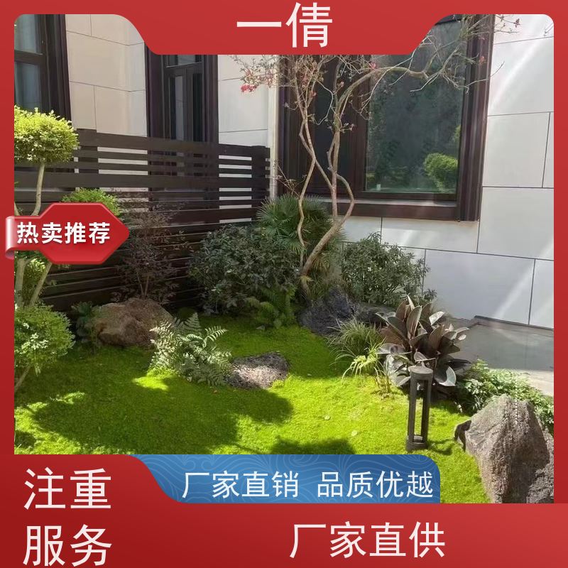 一倩花卉 前台 小年桔盆景 绿植租赁 全城配送 上门养护