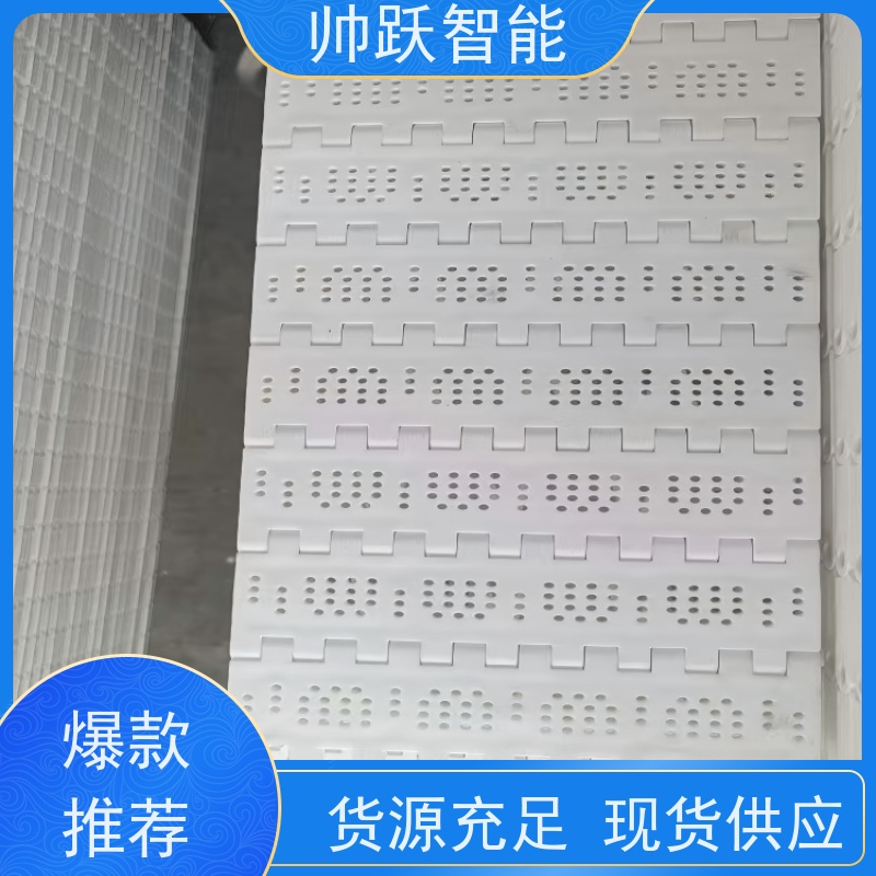 帅跃智能 果蔬清洗输送带 瓦楞纸箱塑料链板 防粘性佳耐腐蚀