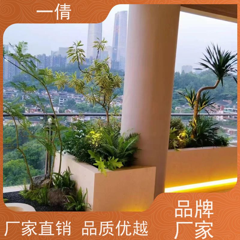 一倩花卉 前台 翡翠 花卉租赁 全城配送 上门养护