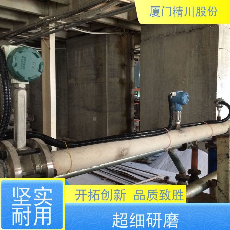 精川股份 胶带厂 饱和蒸汽流量计 一体式温压补偿 源头生产厂家