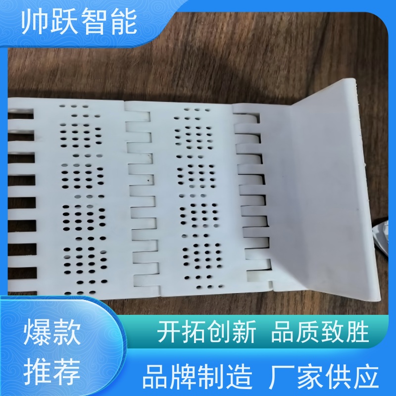 帅跃智能 食品饲料传送带 耐高温挡板式塑料链板 品质可靠 按图定制