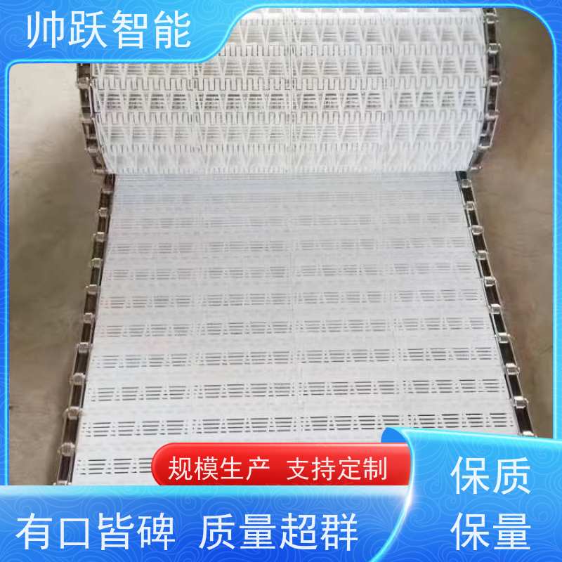 帅跃智能 快递分拣流水线 OPB圆孔塑料链板 工业专用 运行稳定