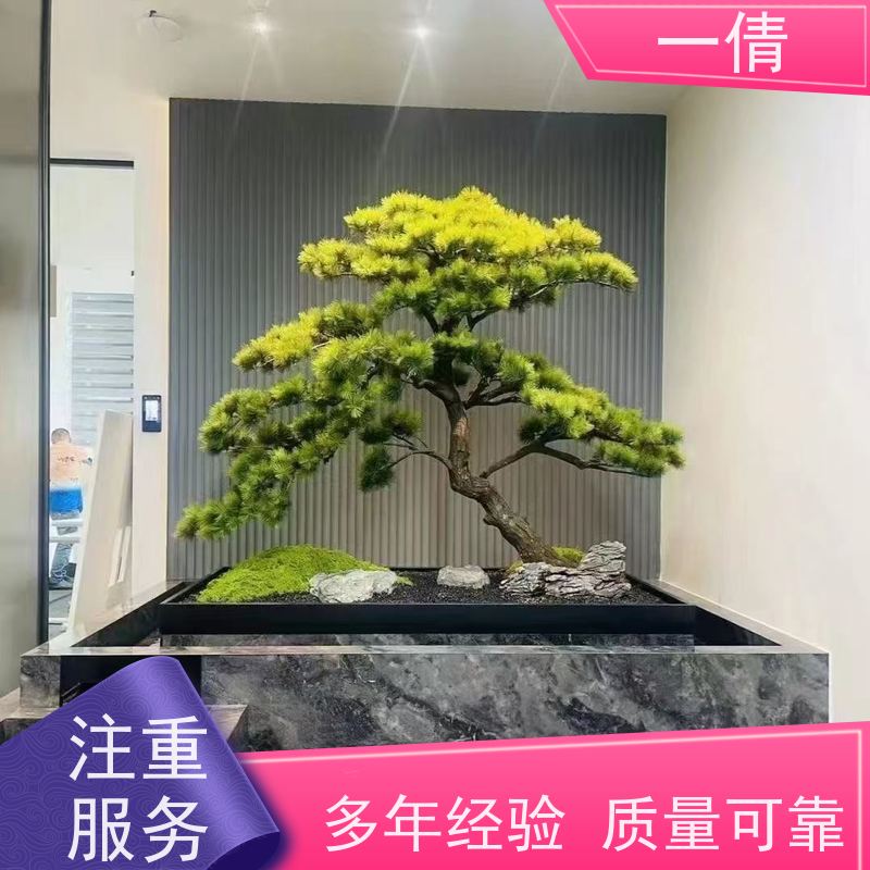 一倩花卉 办公室 铜钱草 开业花篮租赁 净化空气