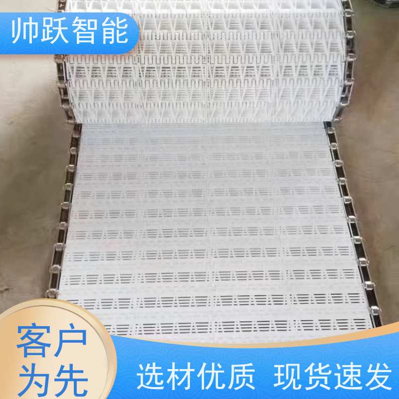 帅跃智能 纸张印刷流水线 瓶盖塑料链板 摩擦系数小