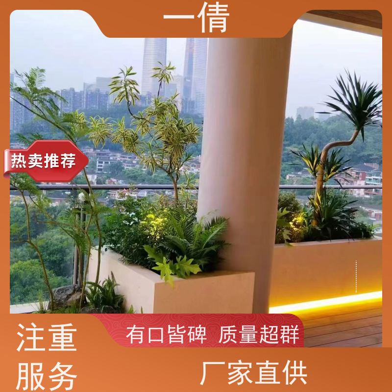 一倩花卉 室内 大慧兰 开业花篮租赁 全城配送 上门养护