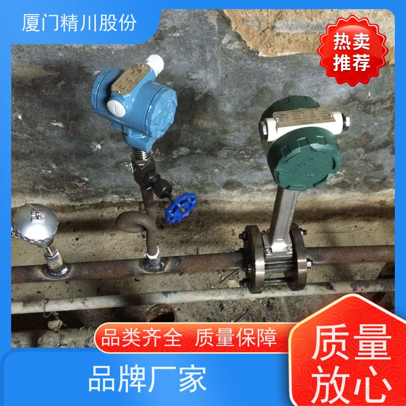精川股份 电镀厂 蒸汽流量计 分体式温压补偿 应用广泛
