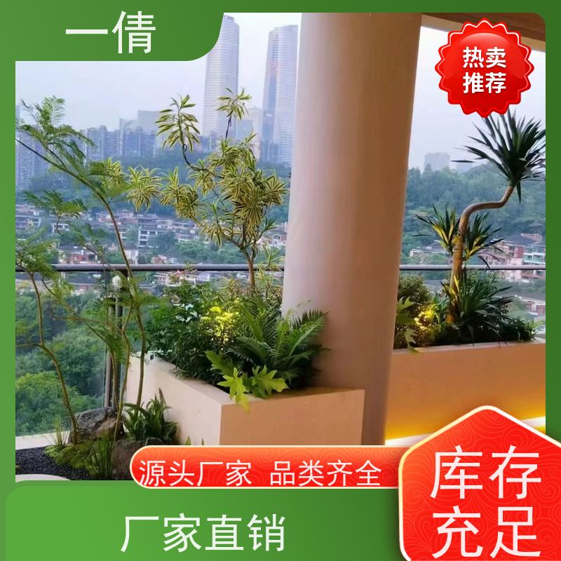一倩花卉 办公室 红蝴蝶兰 绿植租摆 全城配送 上门养护