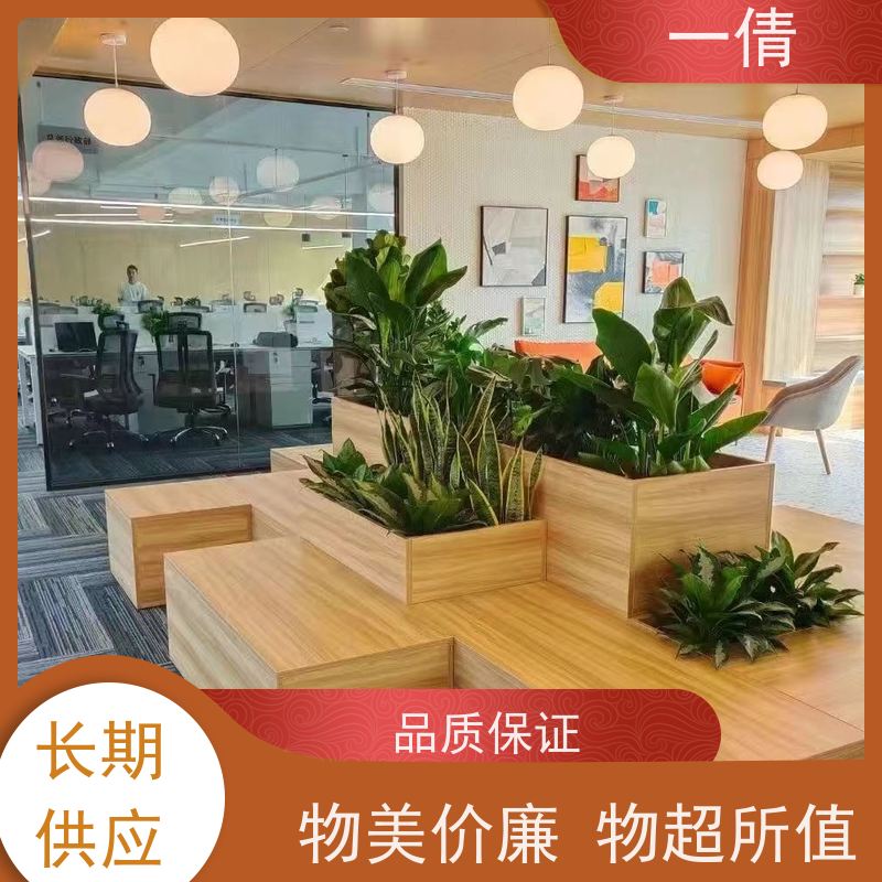 一倩花卉 室内 好事花生 绿植租摆 种类繁多 规格齐全