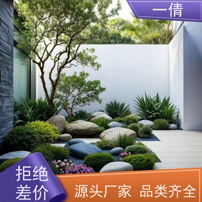 一倩花卉 室内 苹果树 绿植租摆 种类繁多 规格齐全