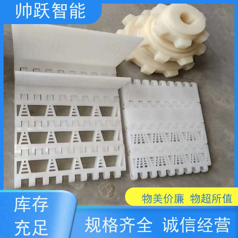 帅跃智能 巴氏消毒输送带 瓶盖塑料链板 品质可靠 按图定制