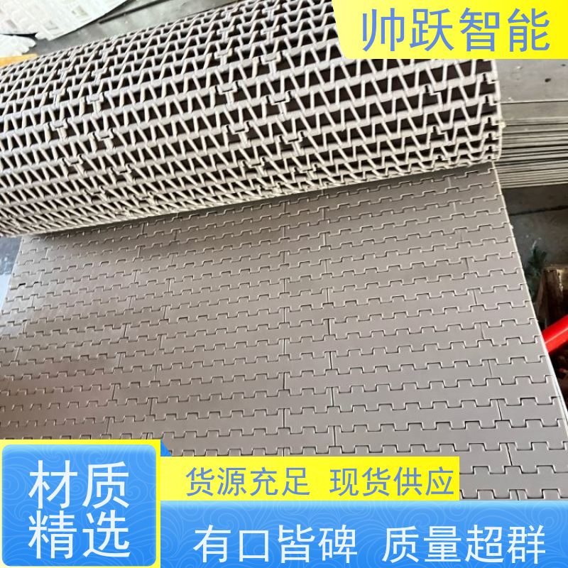帅跃智能 食品输送带经久耐用 OPB圆孔塑料链板 防粘性佳耐腐蚀