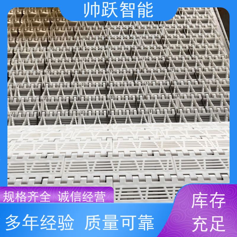 帅跃智能 巴氏消毒输送带 提盖机链板 适用于工业行业