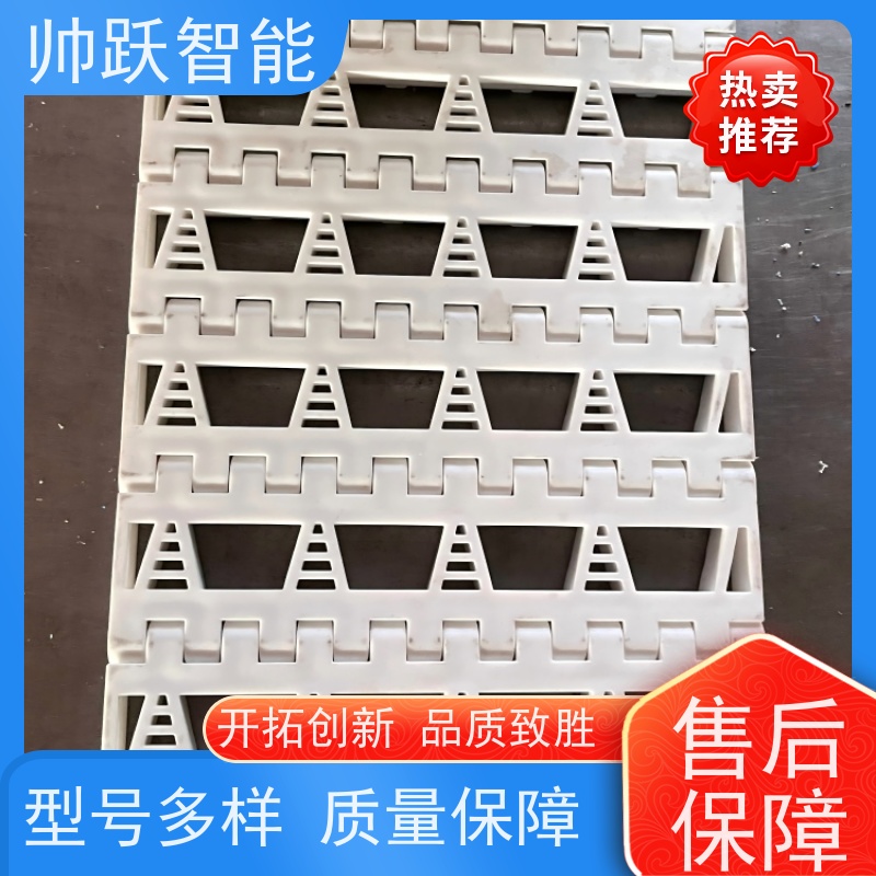 帅跃智能 饮料包装生产流水线 肉类屠宰塑料链板 品质可靠 按图定制