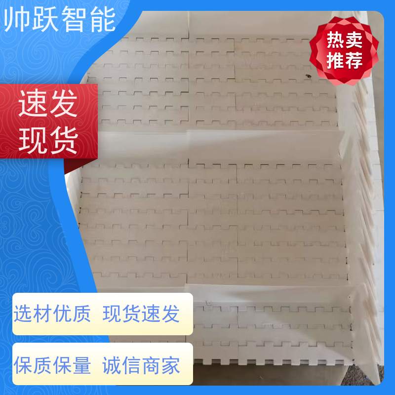 帅跃智能 果蔬清洗输送带 转弯机塑料链板 适用于工业行业