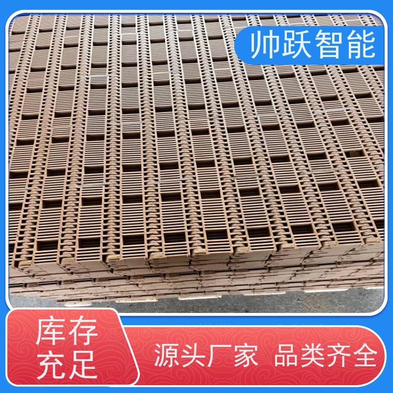 帅跃智能 果蔬清洗输送带 OPB圆孔塑料链板 适用于工业行业