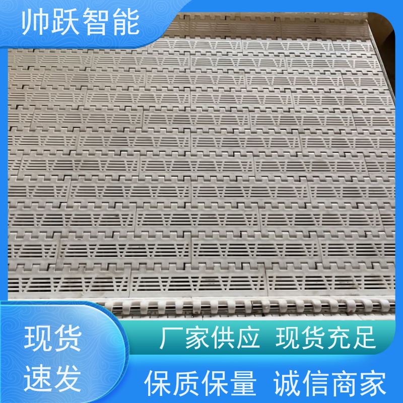 帅跃智能 pp耐高温输送带 提盖机链板 适用于工业行业