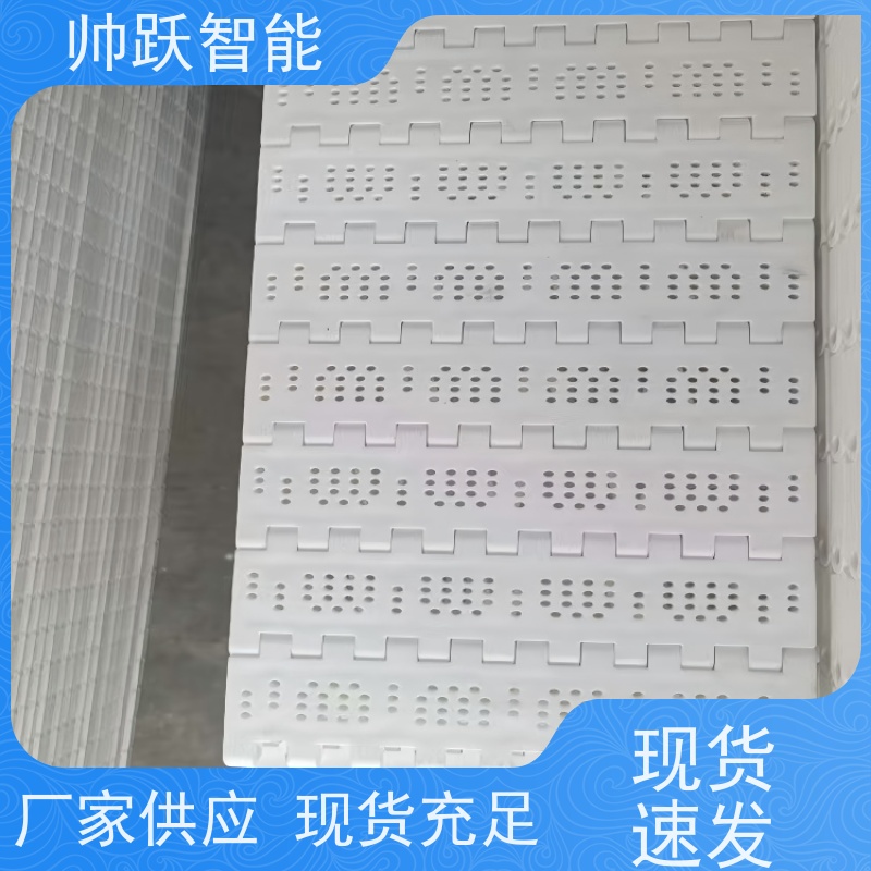 帅跃智能 养殖场输送带 食品级塑料链板 工业专用 运行稳定