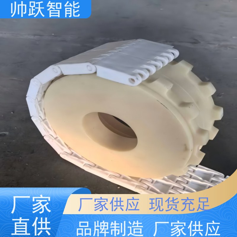 帅跃智能 食品输送带经久耐用 提盖机链板 适用于工业行业