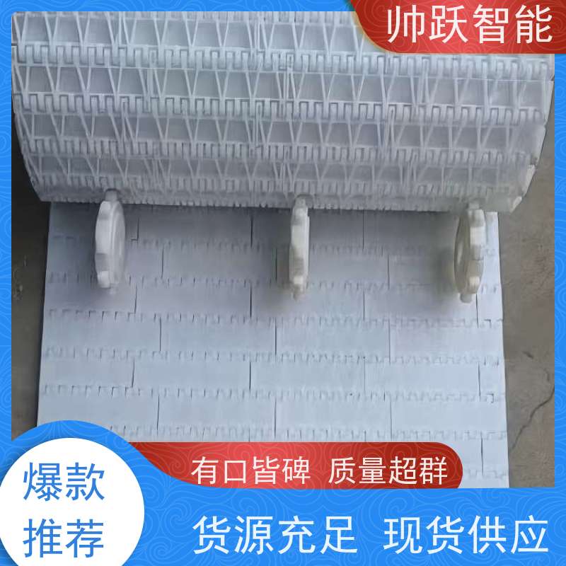 帅跃智能 饮料包装生产流水线 瓶盖塑料链板 支持加工定制