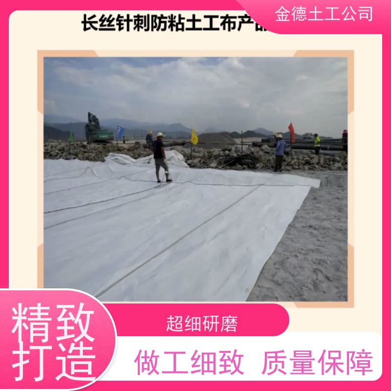 抗冻融性好 绿化隔离层 丙纶长丝土工布300g 厂家实力