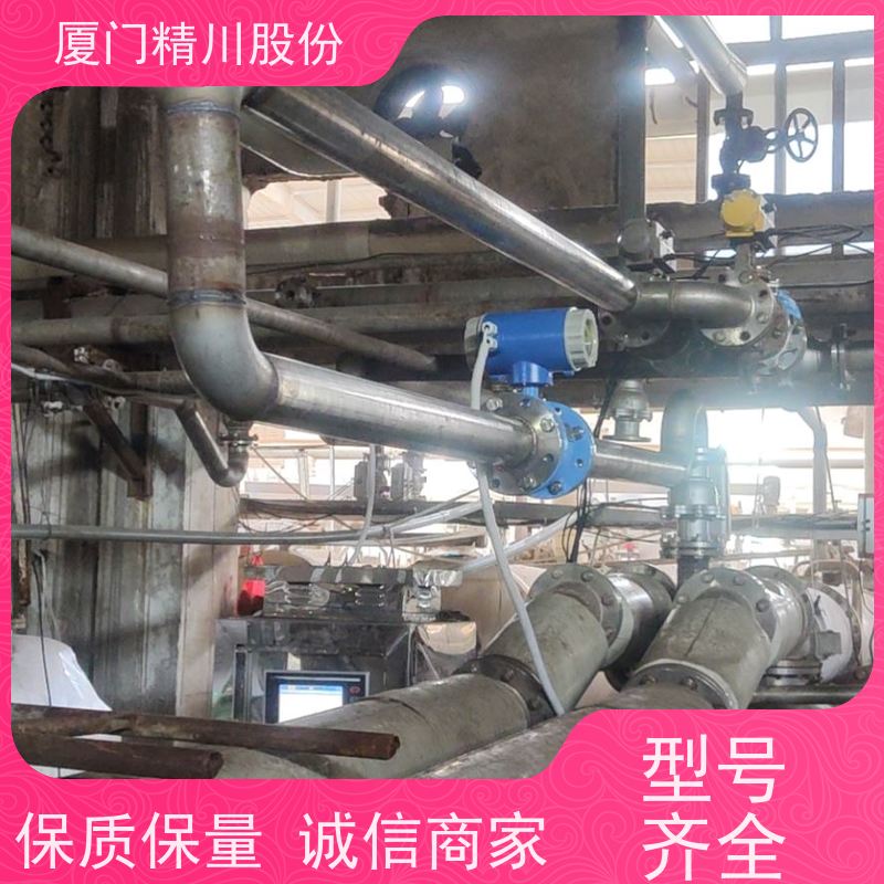 精川股份污水处理PAC加注流量计免费选型避免计量精度不足