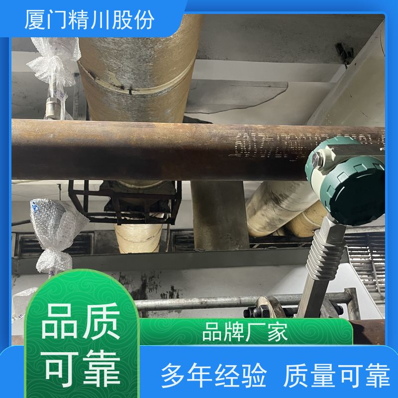 精川股份 纺织厂 导热油炉流量计 耐高温400度 品质可靠