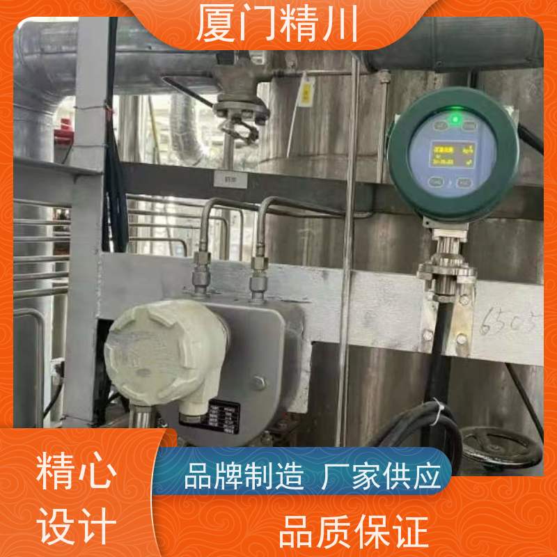 精川股份 食品厂气体质量流量计 精度0.2级 有保障