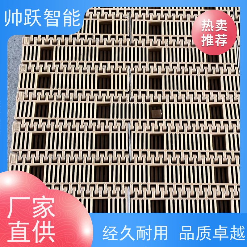 帅跃智能 果蔬清洗输送带 提盖机链板 品质可靠 按图定制