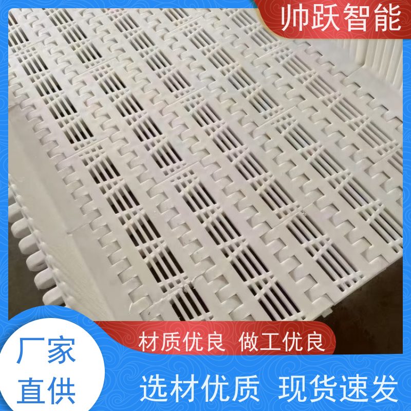 帅跃智能 饮料包装生产流水线 瓦楞纸箱塑料链板 支持加工定制