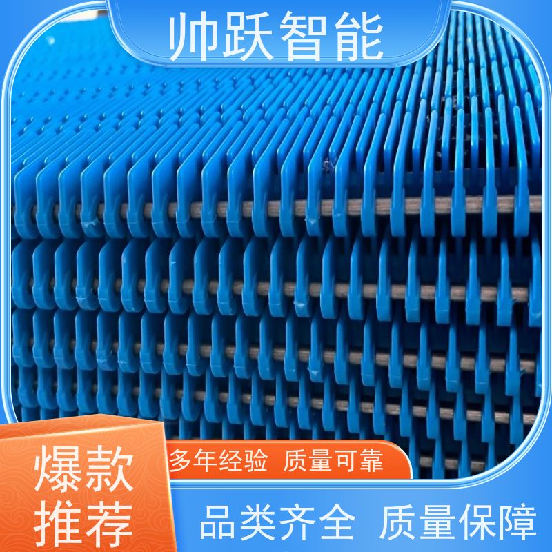帅跃智能 快递分拣流水线 耐高温挡板式塑料链板 防粘性佳耐腐蚀