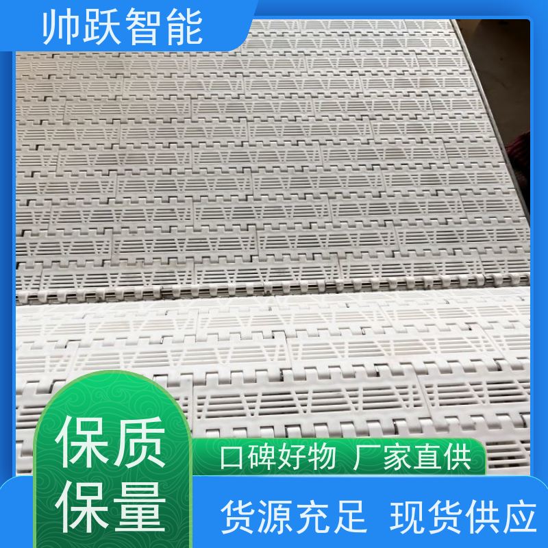 帅跃智能 塑料尼龙筛网过滤输送带 提盖机链板 防粘性佳耐腐蚀