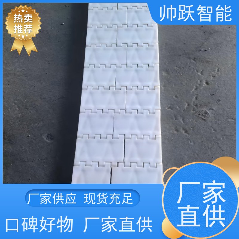 帅跃智能 巴氏消毒输送带 瓦楞纸箱塑料链板 工业专用 运行稳定