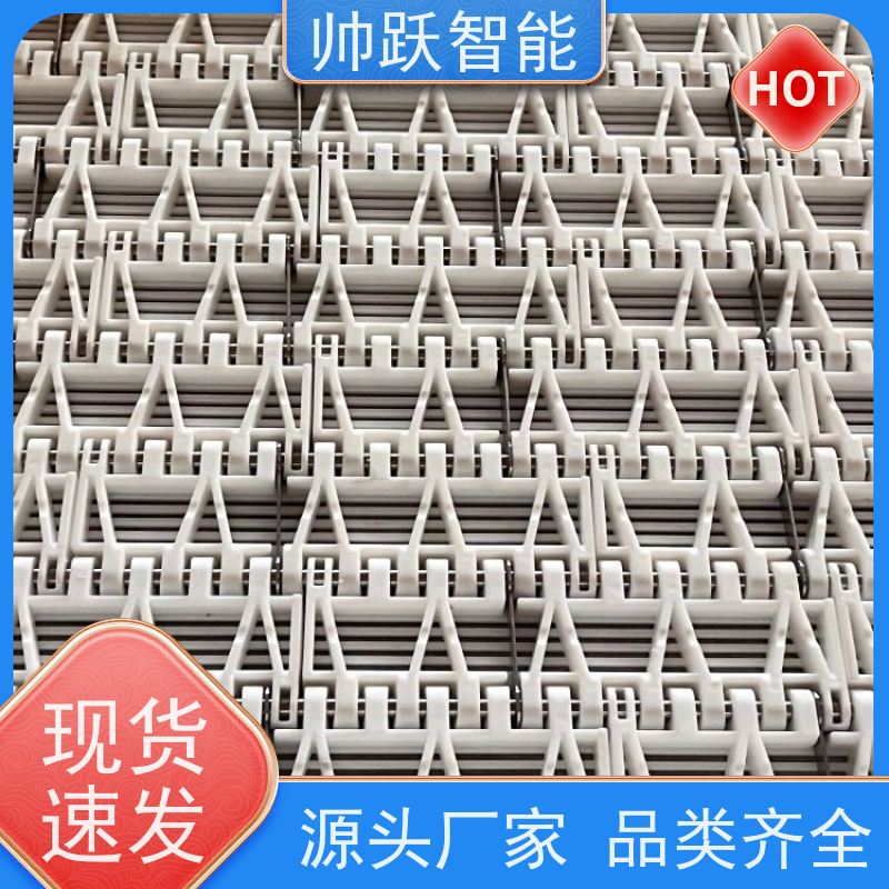 帅跃智能 食品餐具清洗消毒输送带 瓦楞纸箱塑料链板 摩擦系数小