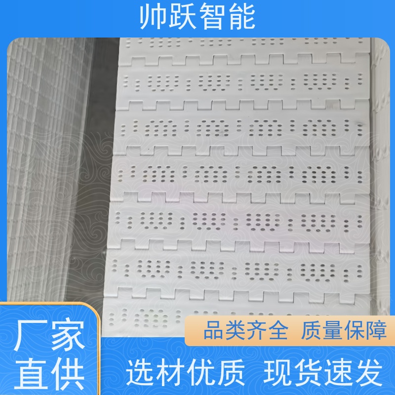 帅跃智能 饮料包装生产流水线 食品级塑料链板 品质可靠 按图定制