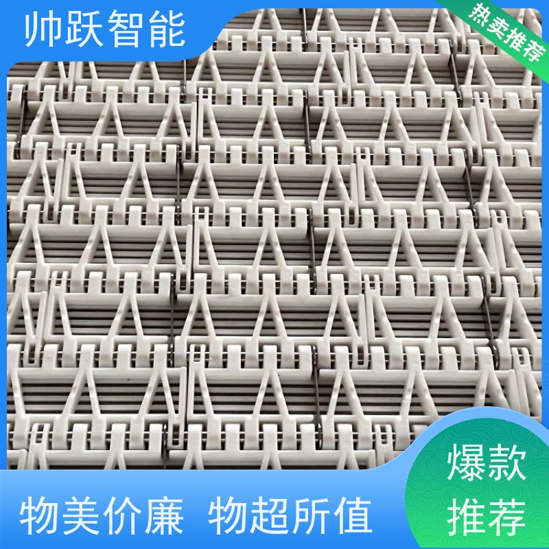 帅跃智能 食品输送带经久耐用 转弯机塑料链板 品质可靠 按图定制