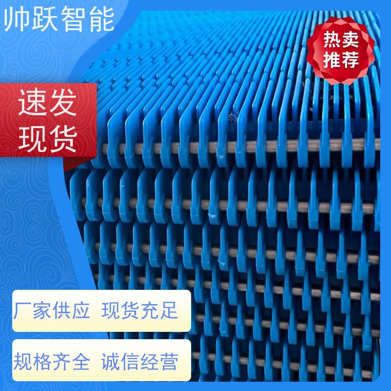 帅跃智能 果蔬清洗输送带 肉类屠宰塑料链板 品质可靠 按图定制