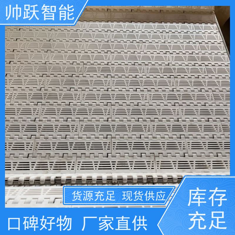 帅跃智能 饮料包装生产流水线 水产分拣塑料链板 工业专用 运行稳定